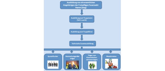 Schema des Ausbildungsverlaufs