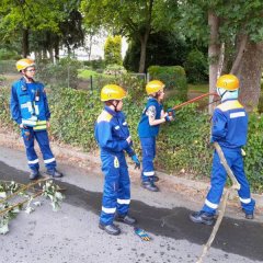 Ein umgestürzter Baum wird beseitigt